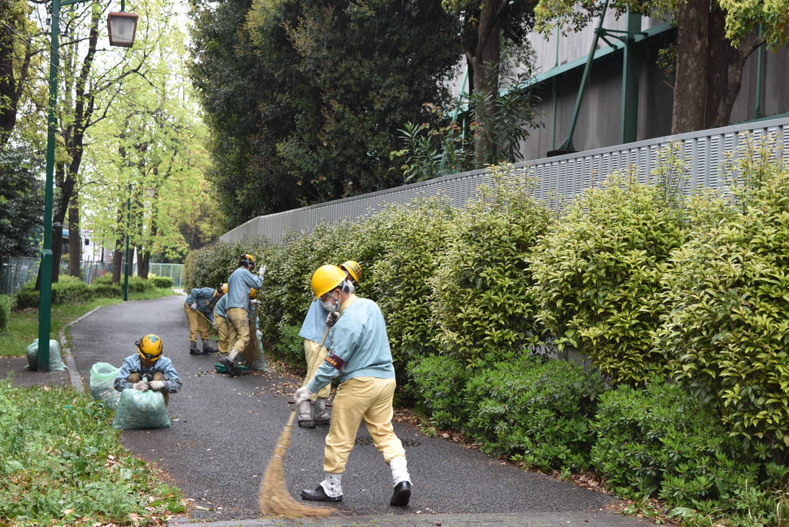 会社周辺クリーン作戦の実施