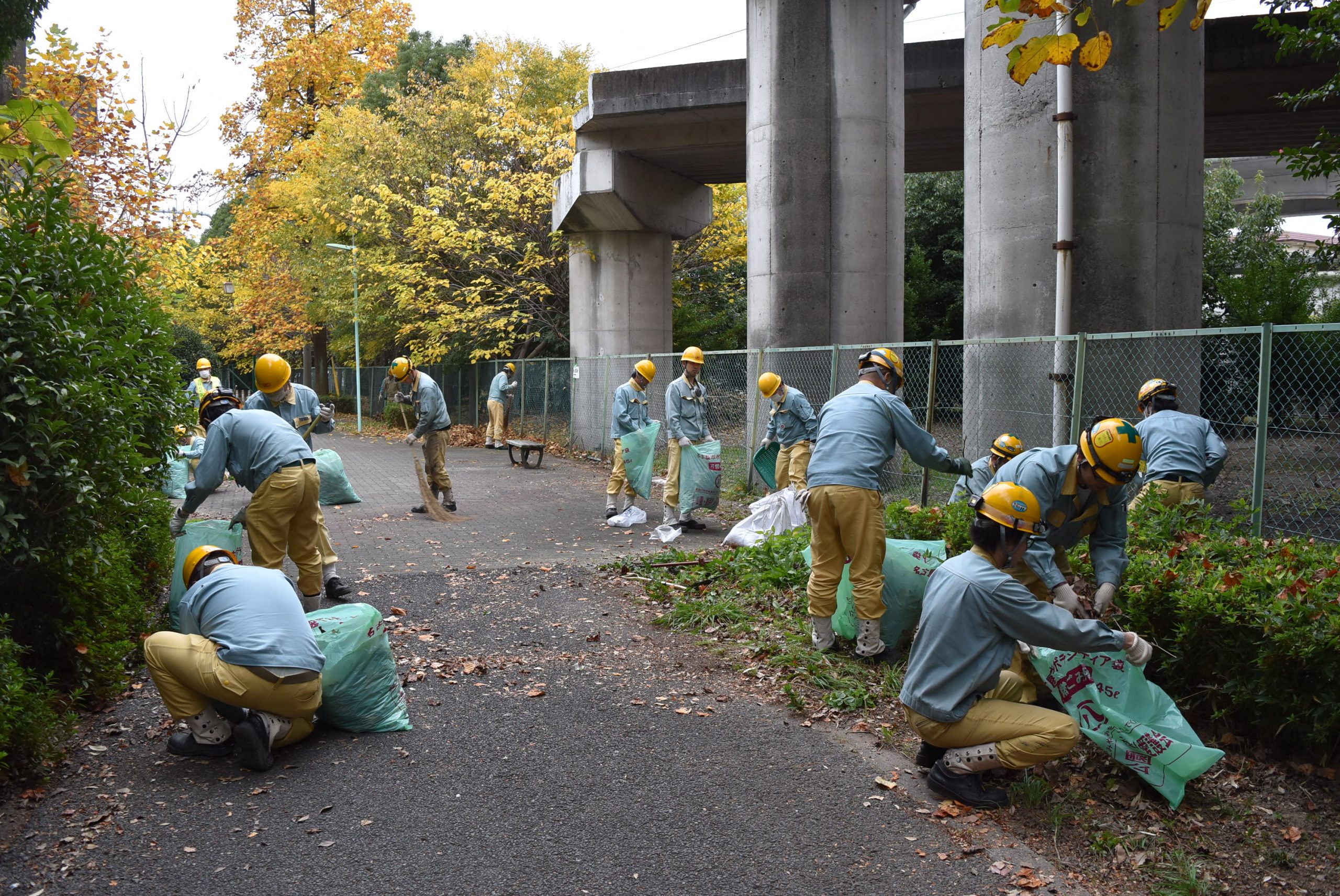 会社周辺クリーン作戦の実施