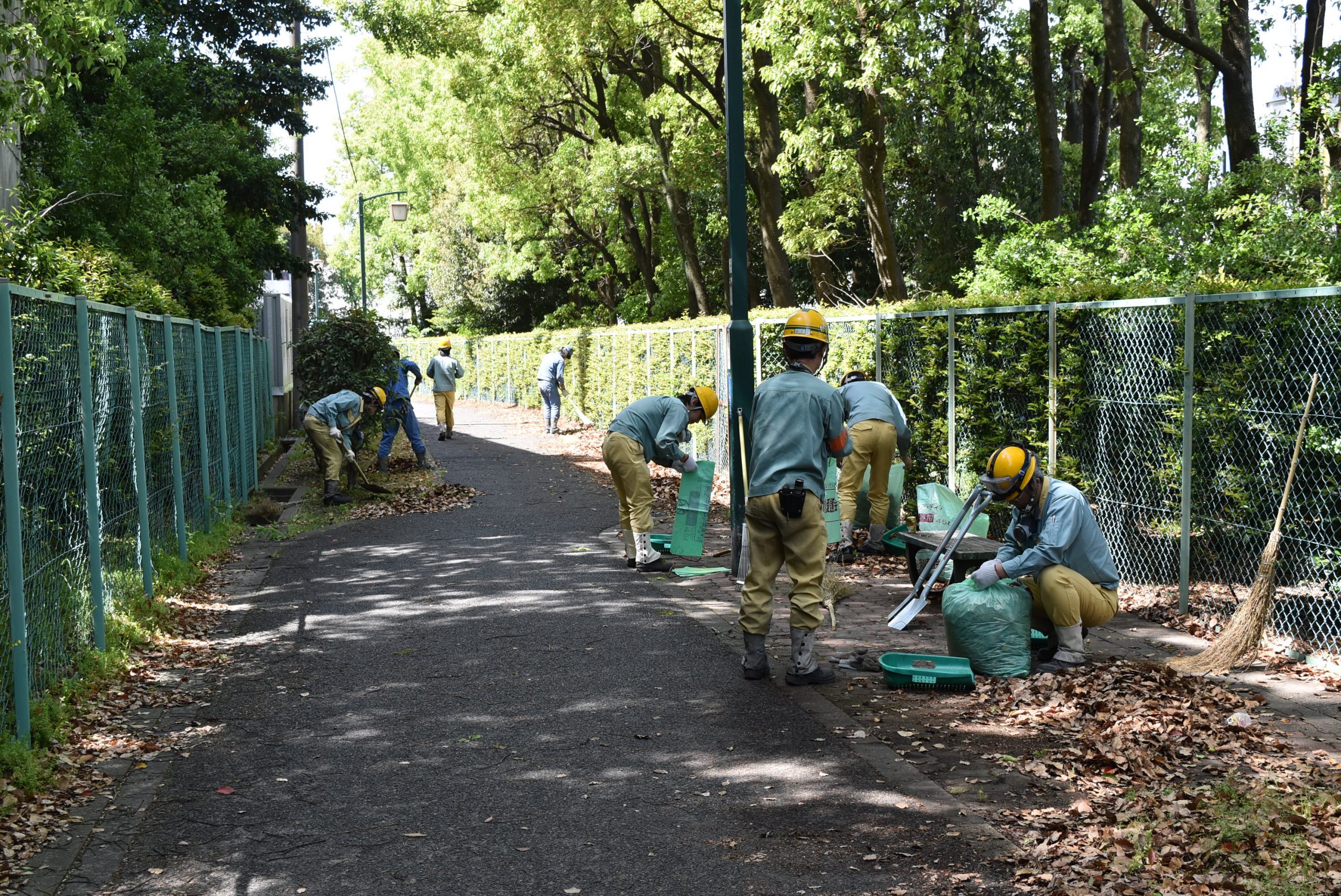 会社周辺クリーン作戦の実施