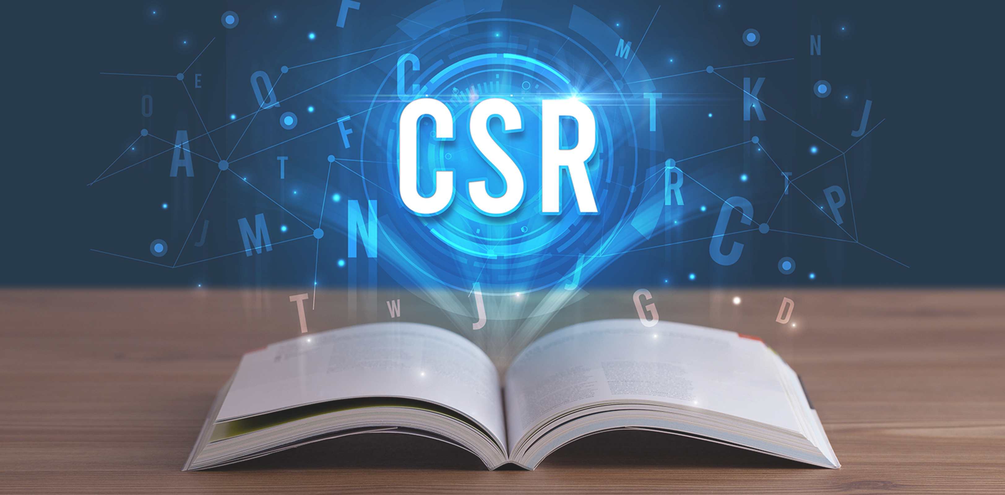 CSR principle and guideline image